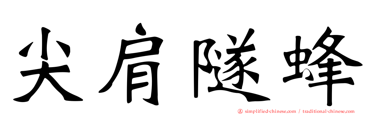 尖肩隧蜂