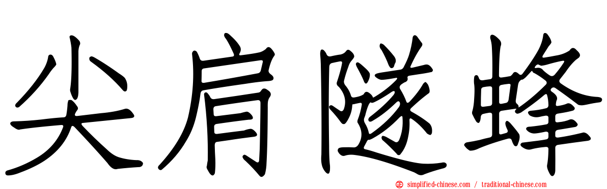 尖肩隧蜂