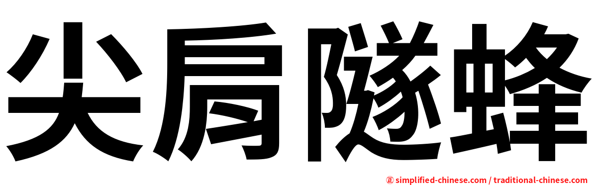 尖肩隧蜂