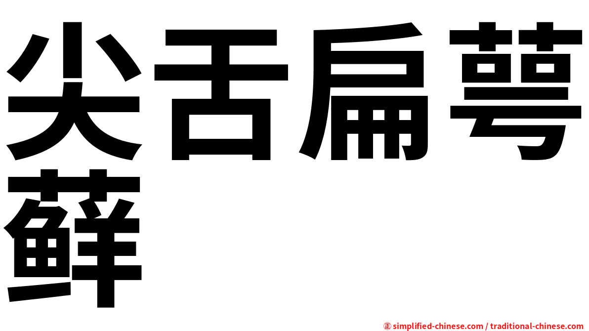 尖舌扁萼藓
