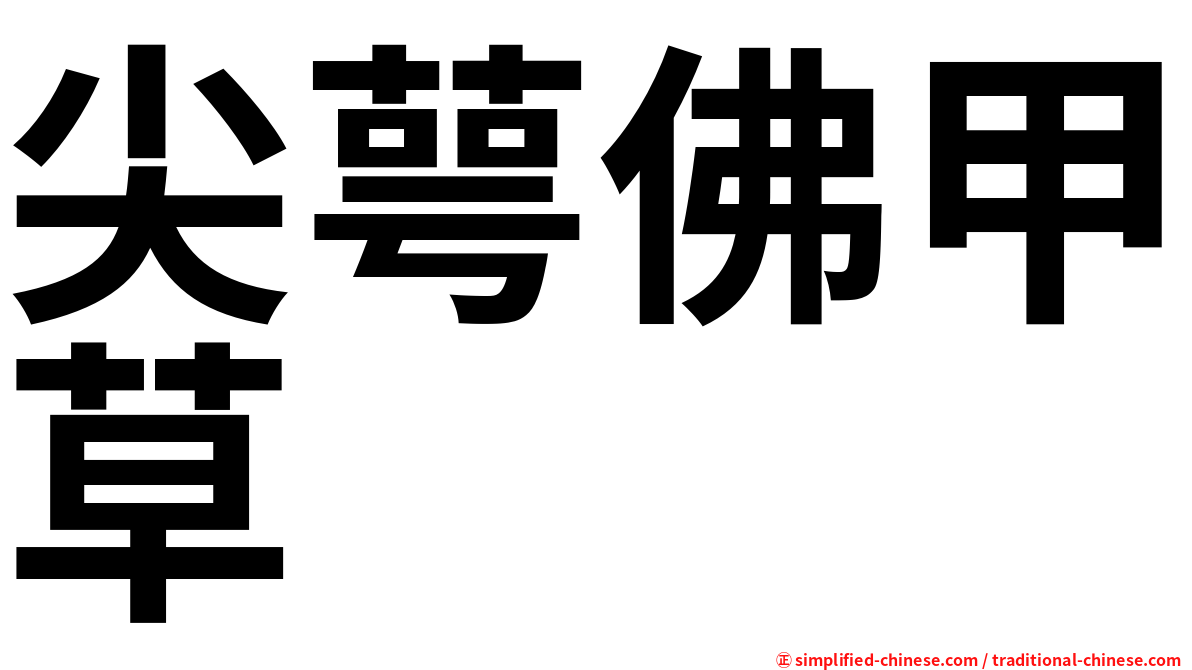 尖萼佛甲草