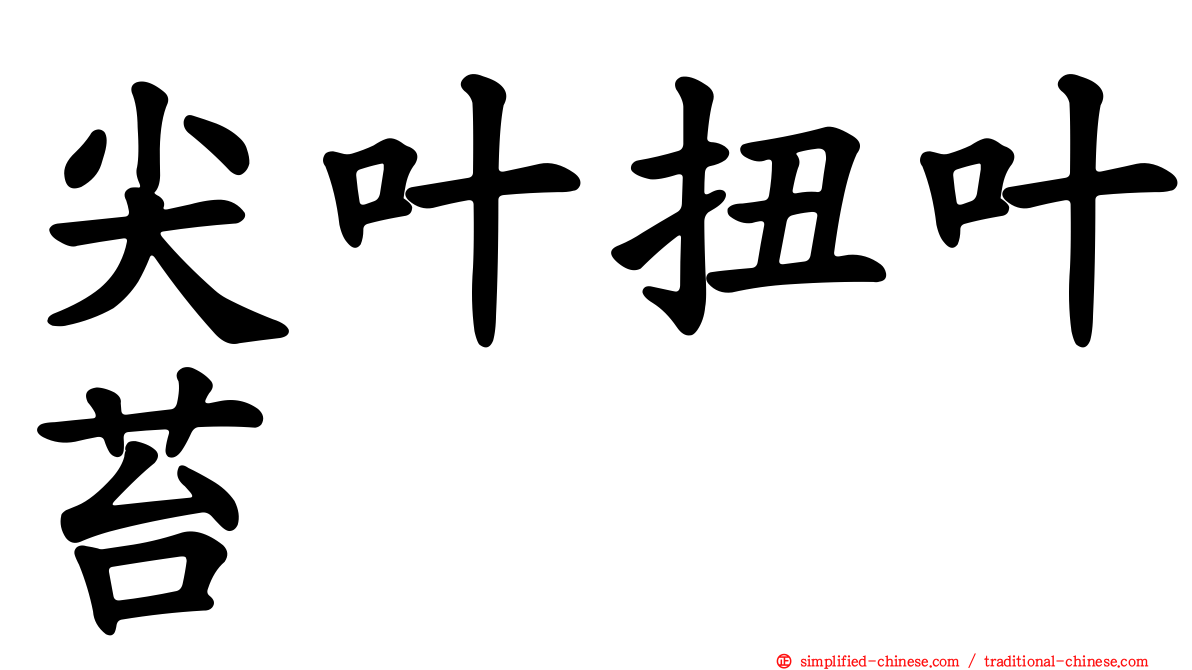 尖叶扭叶苔