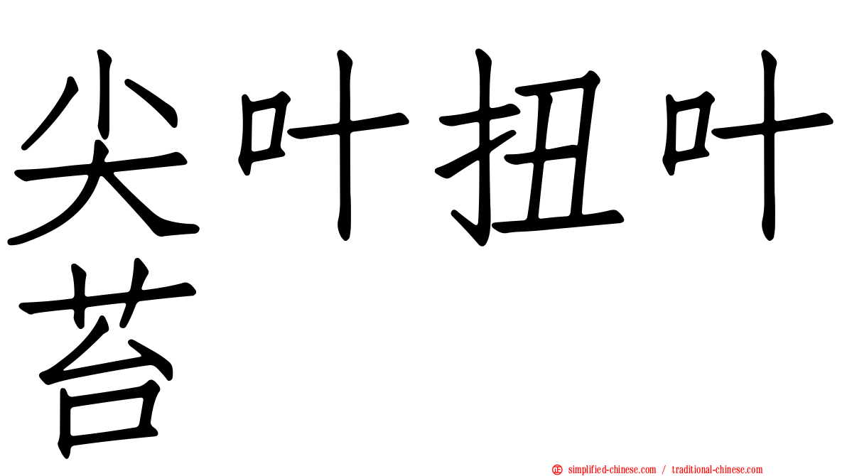 尖叶扭叶苔