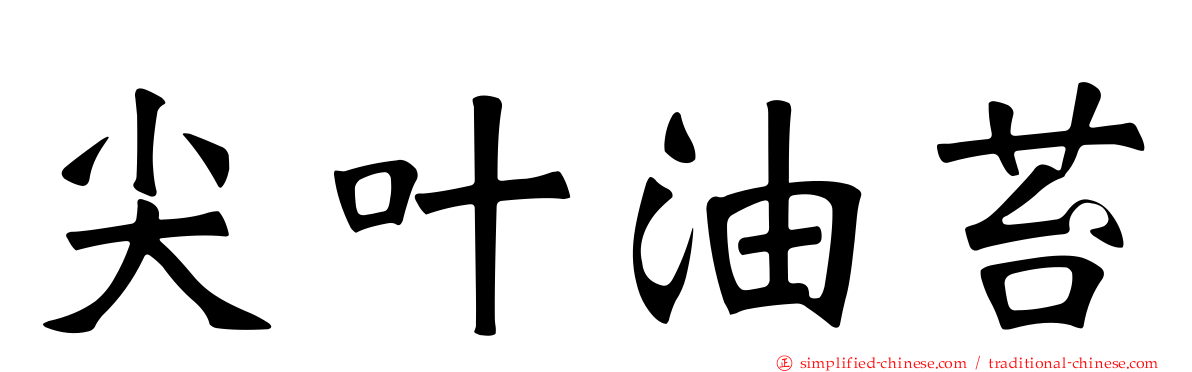 尖叶油苔