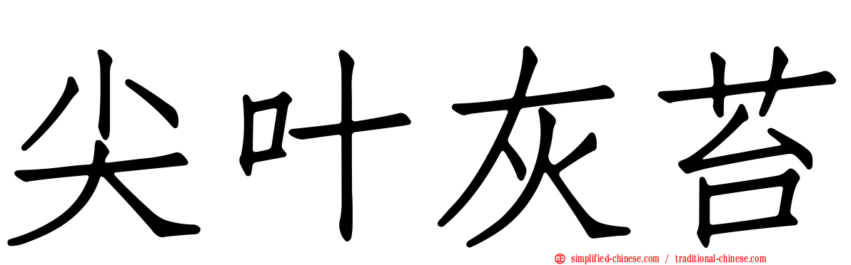 尖叶灰苔