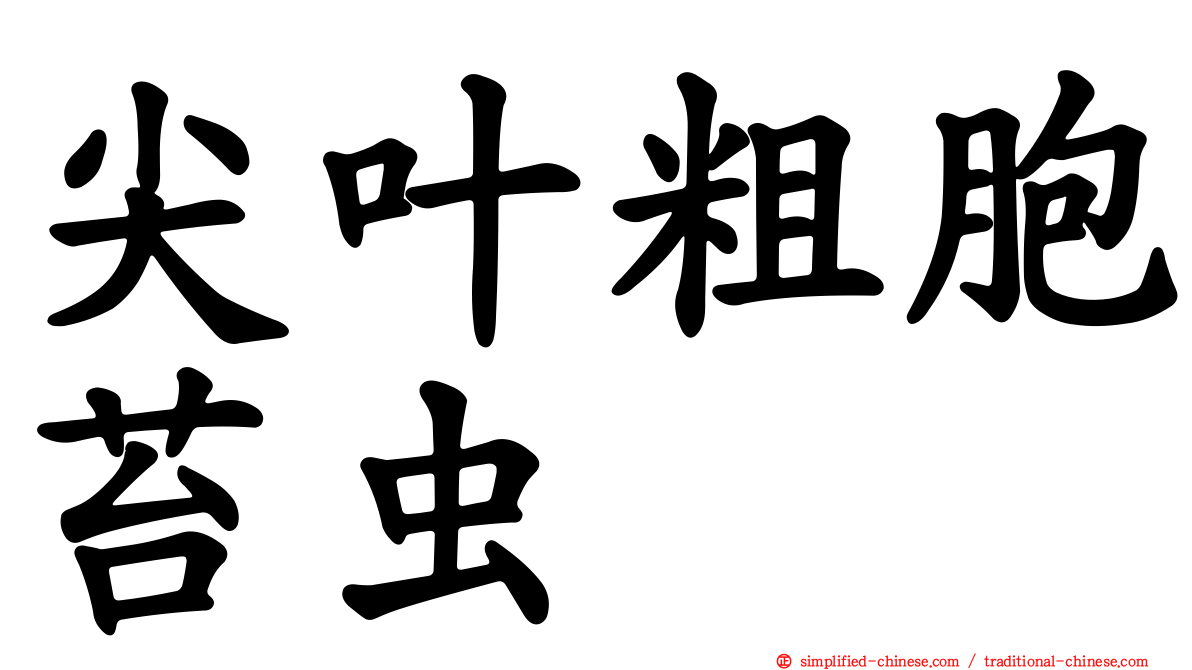 尖叶粗胞苔虫