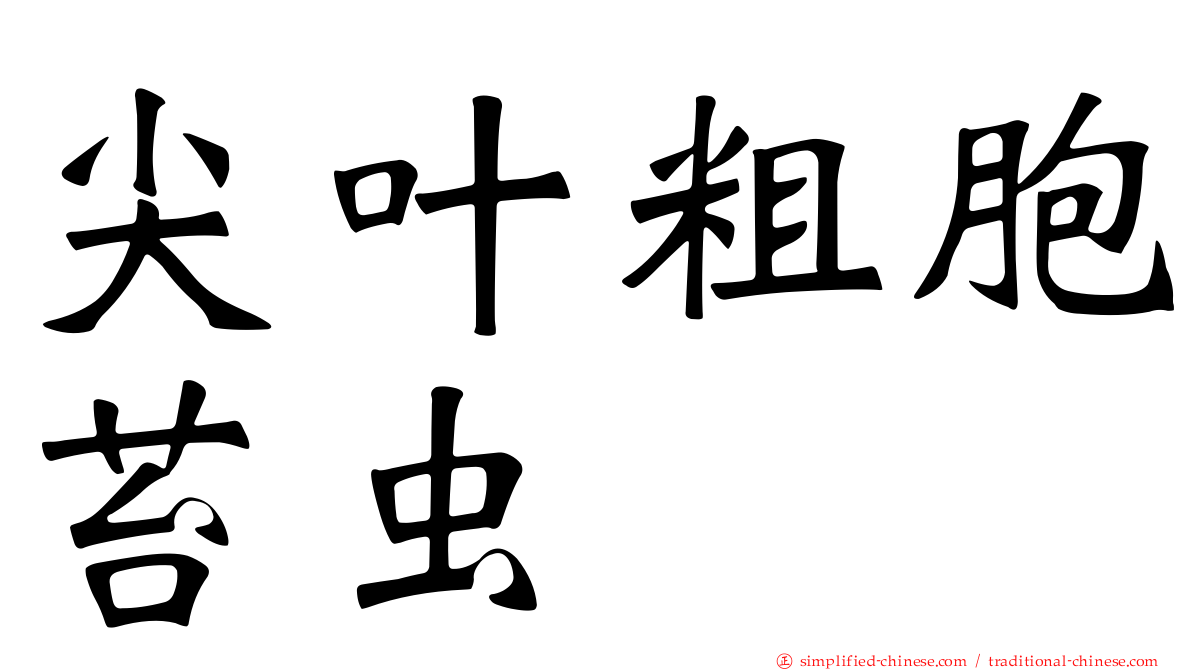 尖叶粗胞苔虫