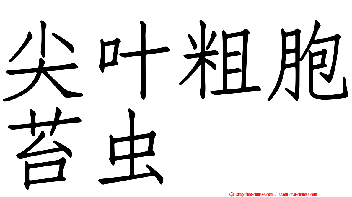 尖叶粗胞苔虫