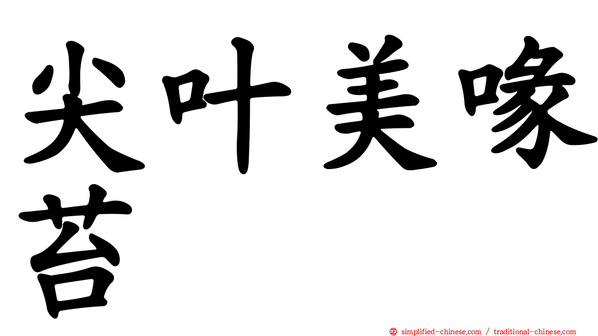 尖叶美喙苔