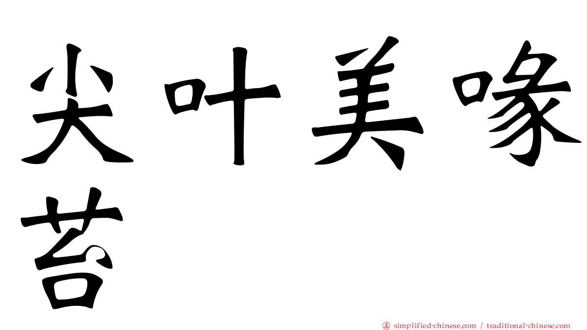 尖叶美喙苔