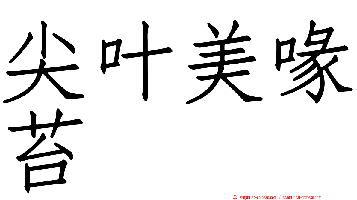 尖叶美喙苔