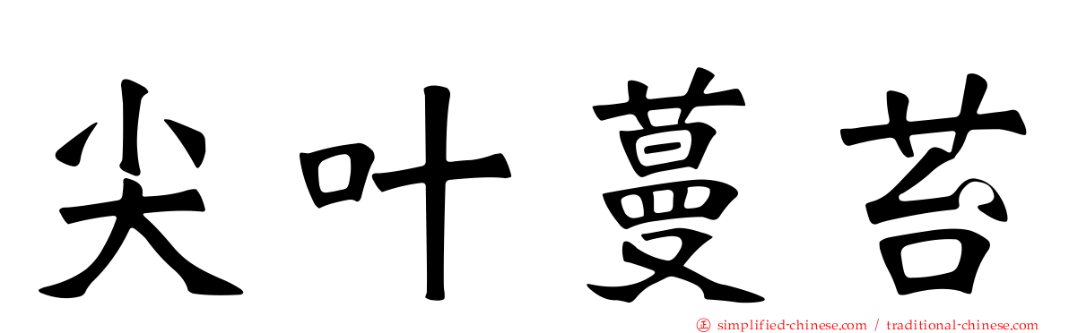 尖叶蔓苔