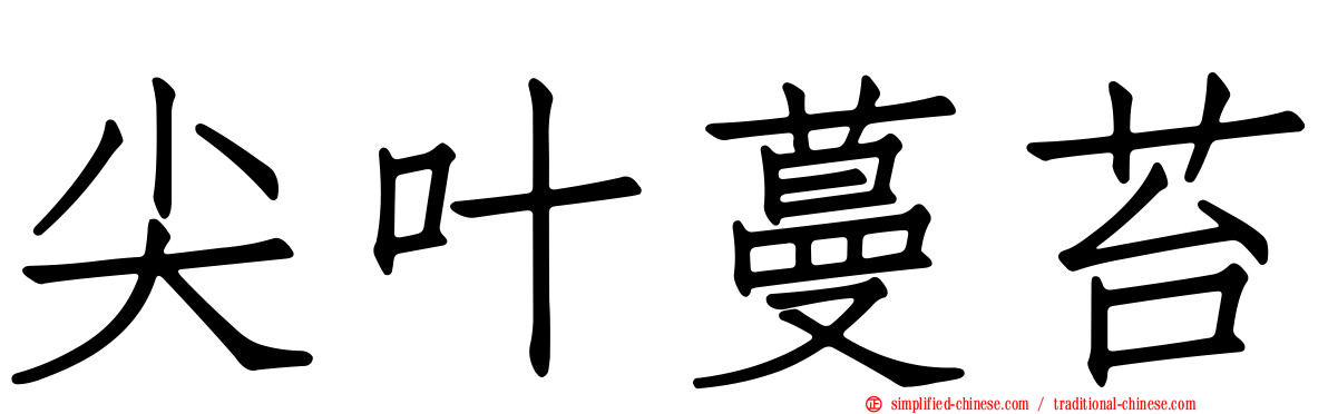尖叶蔓苔
