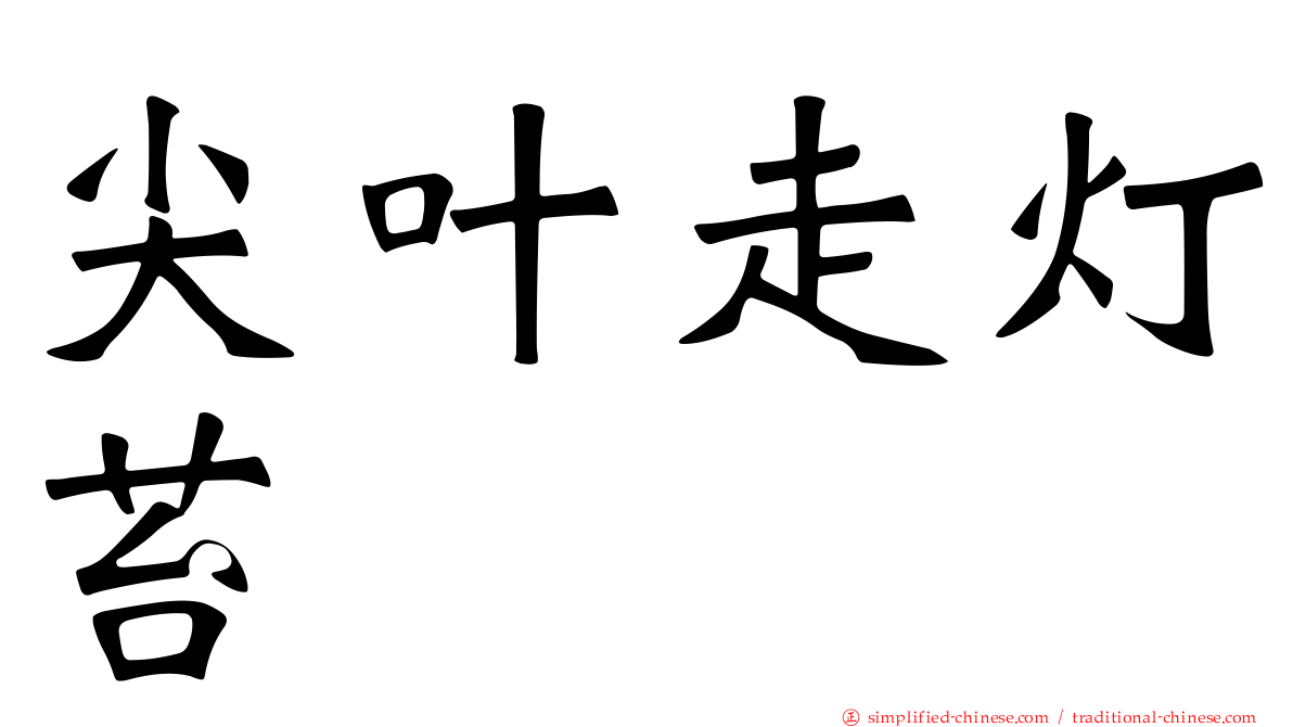 尖叶走灯苔