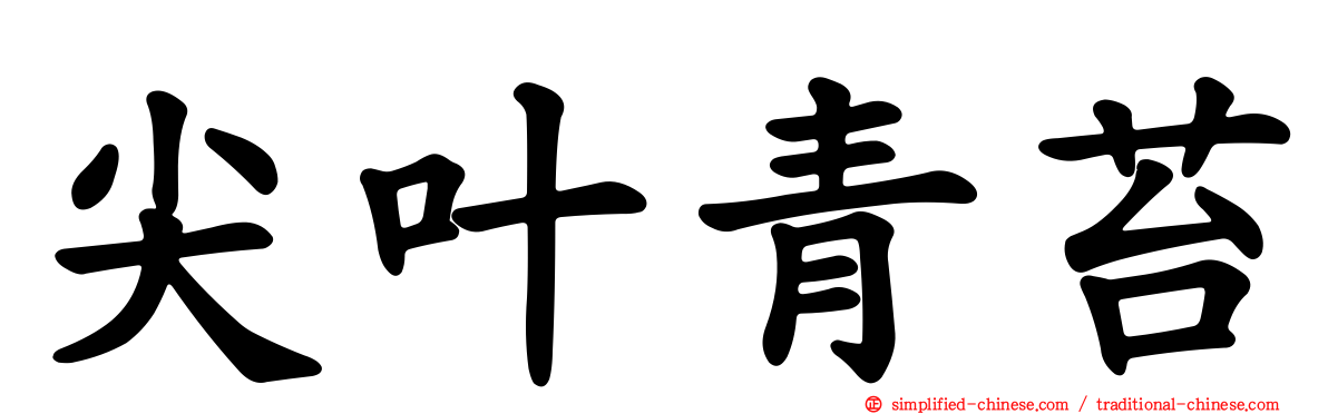 尖叶青苔