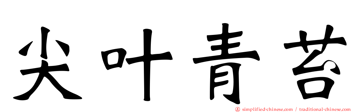 尖叶青苔
