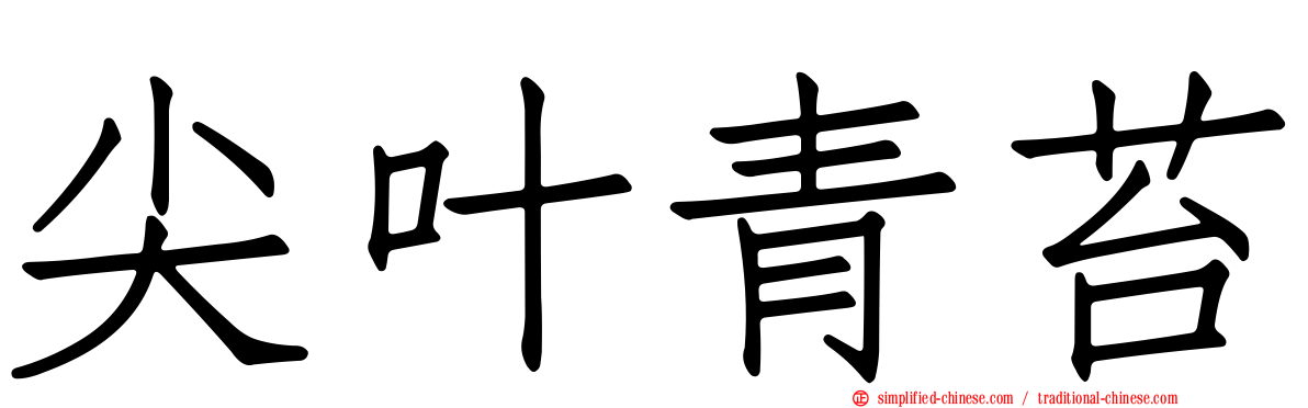 尖叶青苔
