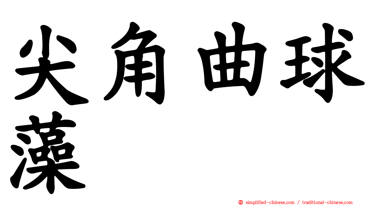 尖角曲球藻