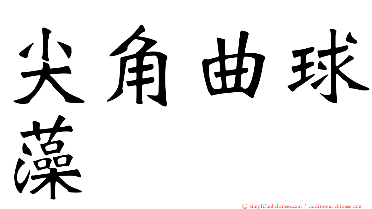 尖角曲球藻