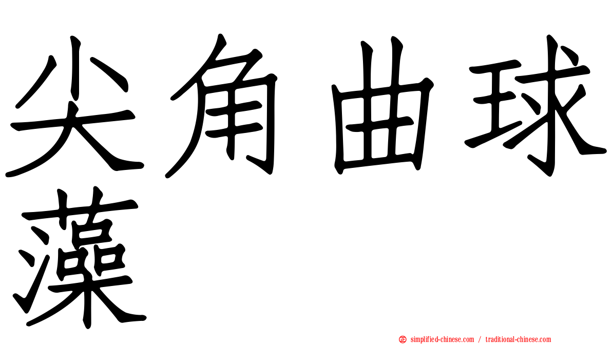 尖角曲球藻