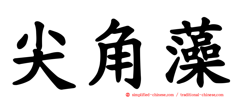 尖角藻