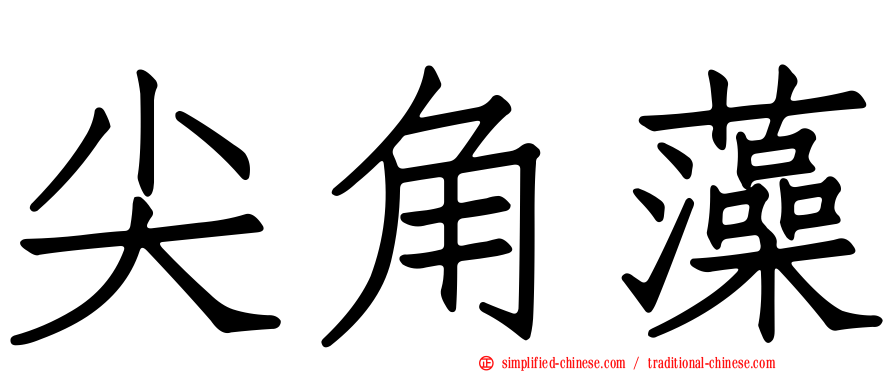 尖角藻