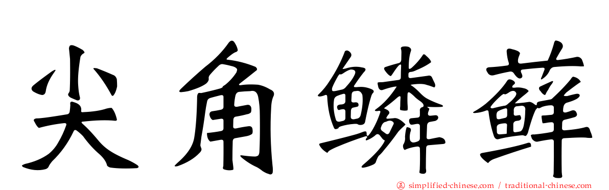 尖角鳞藓