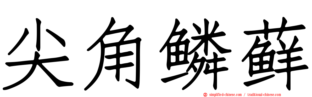 尖角鳞藓