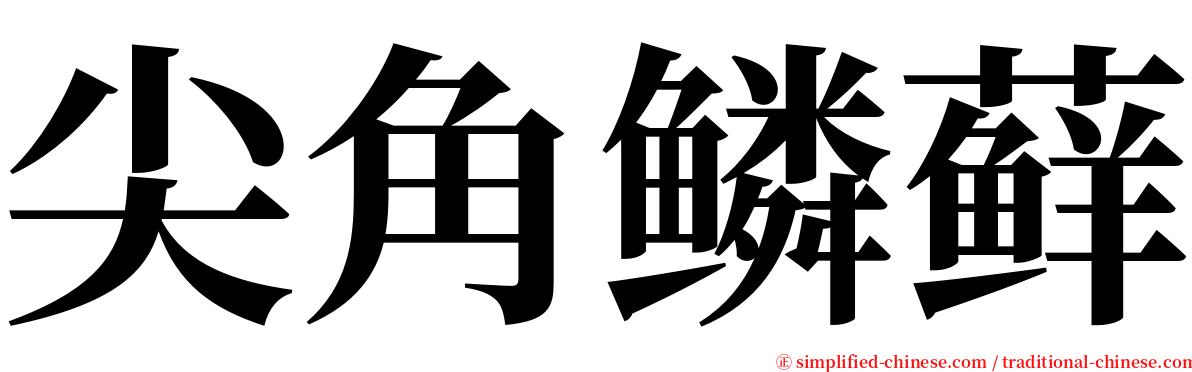 尖角鳞藓 serif font