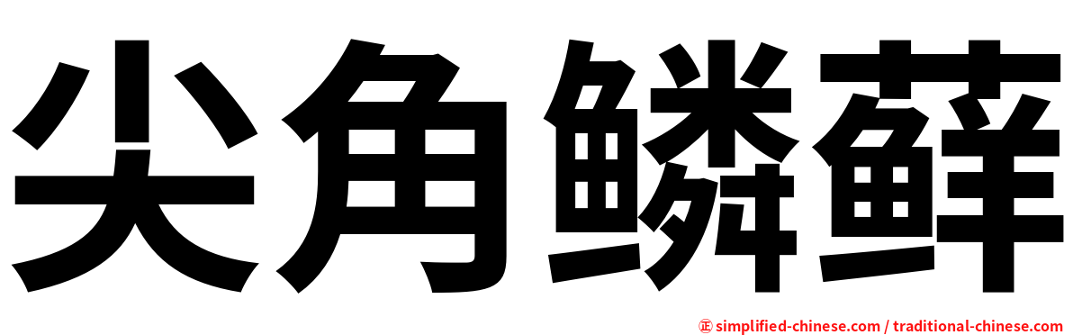 尖角鳞藓