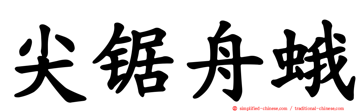 尖锯舟蛾
