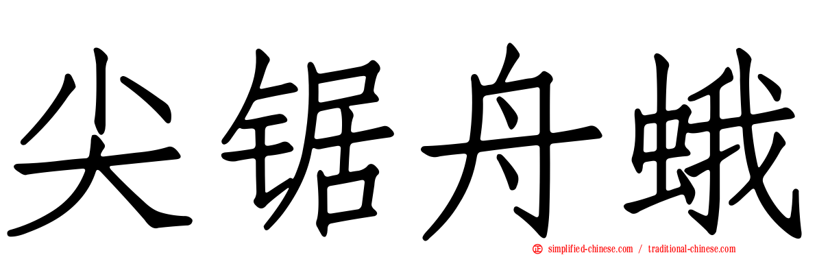 尖锯舟蛾