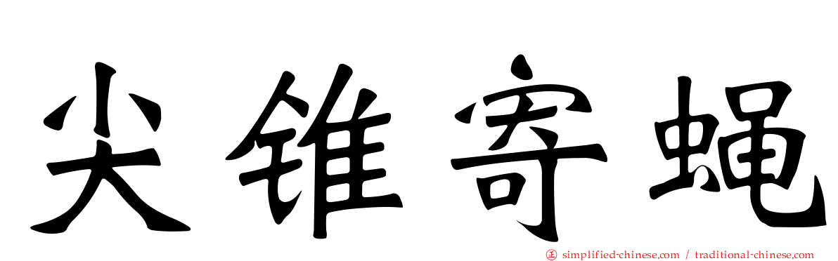 尖锥寄蝇