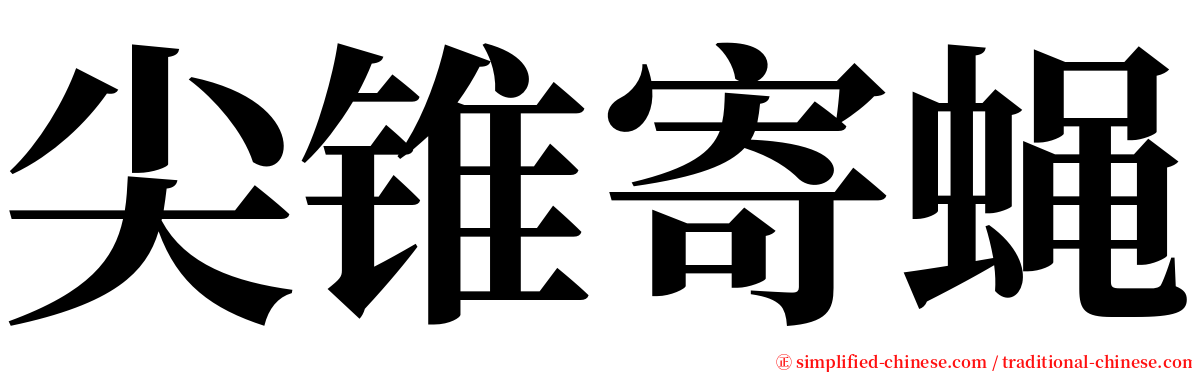 尖锥寄蝇 serif font