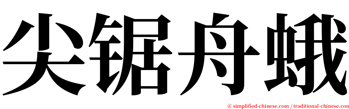 尖锯舟蛾 serif font