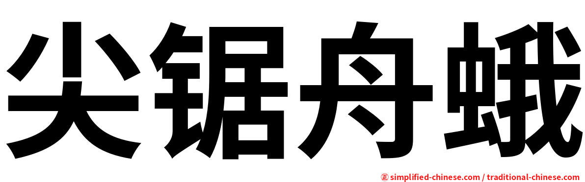 尖锯舟蛾