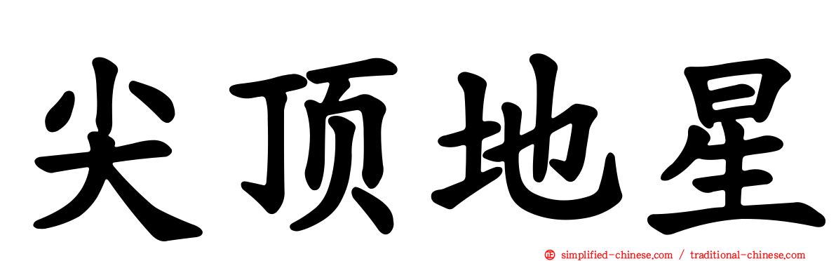 尖顶地星