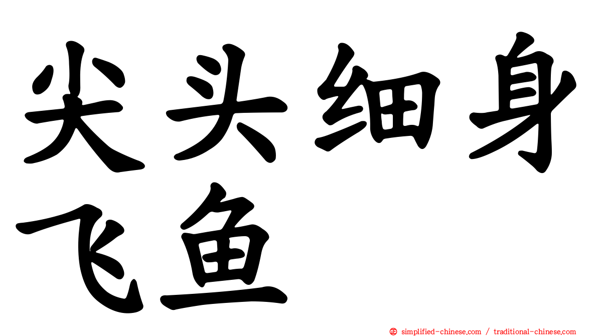 尖头细身飞鱼