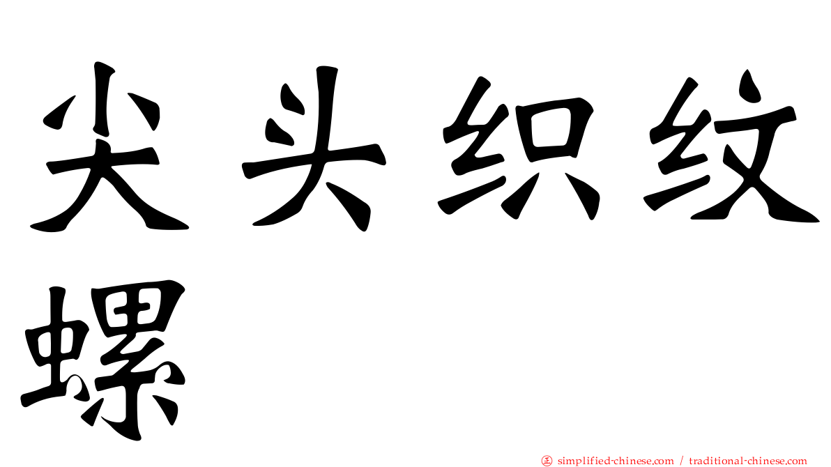 尖头织纹螺