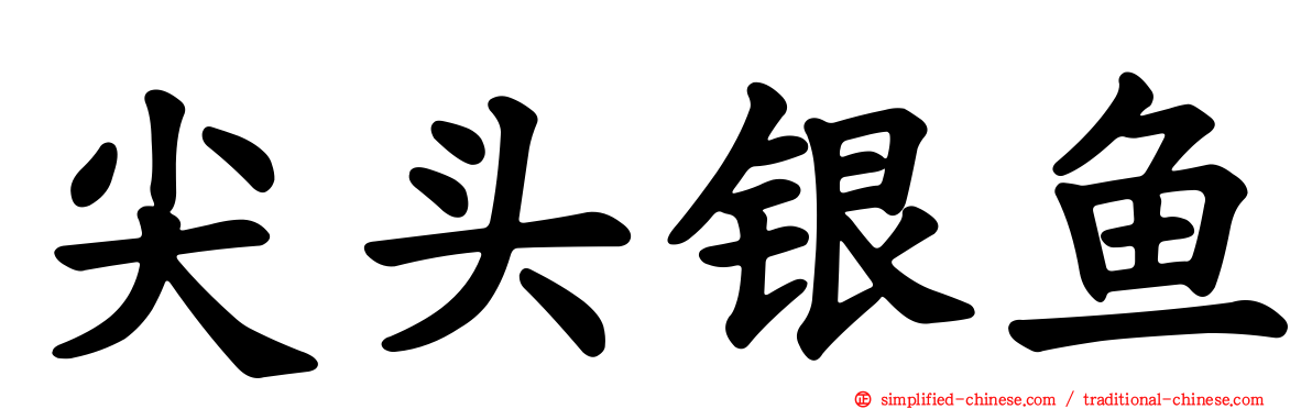 尖头银鱼
