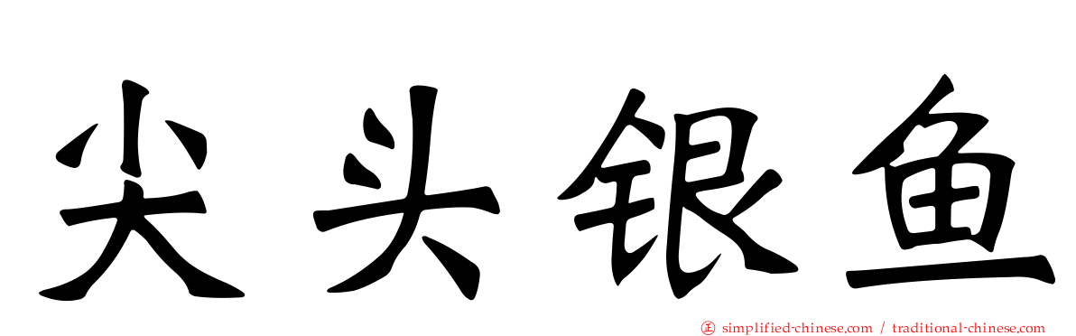 尖头银鱼
