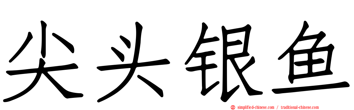 尖头银鱼