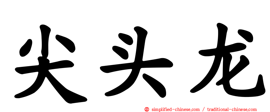 尖头龙