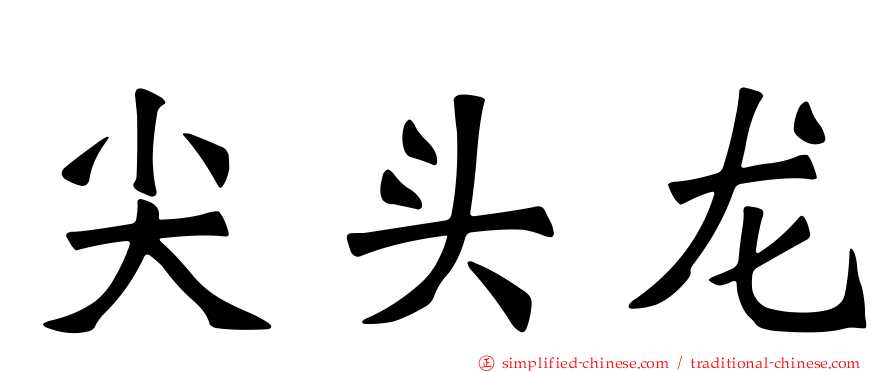 尖头龙