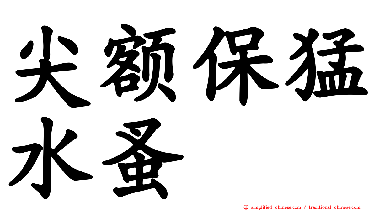 尖额保猛水蚤