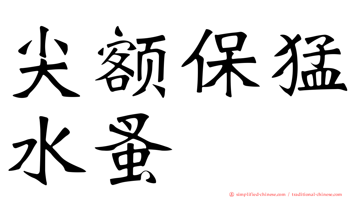 尖额保猛水蚤