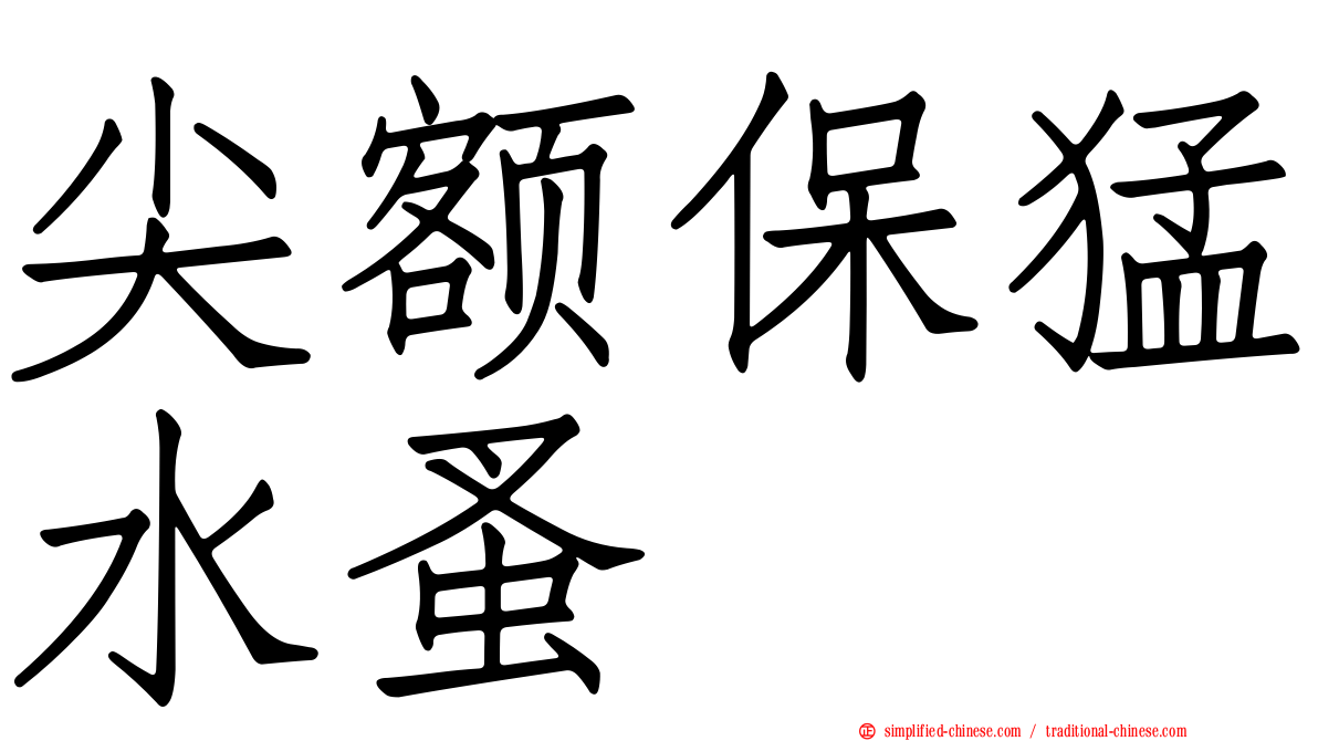尖额保猛水蚤