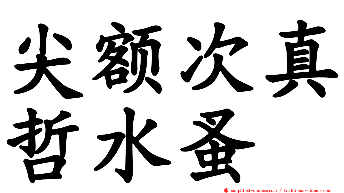 尖额次真哲水蚤