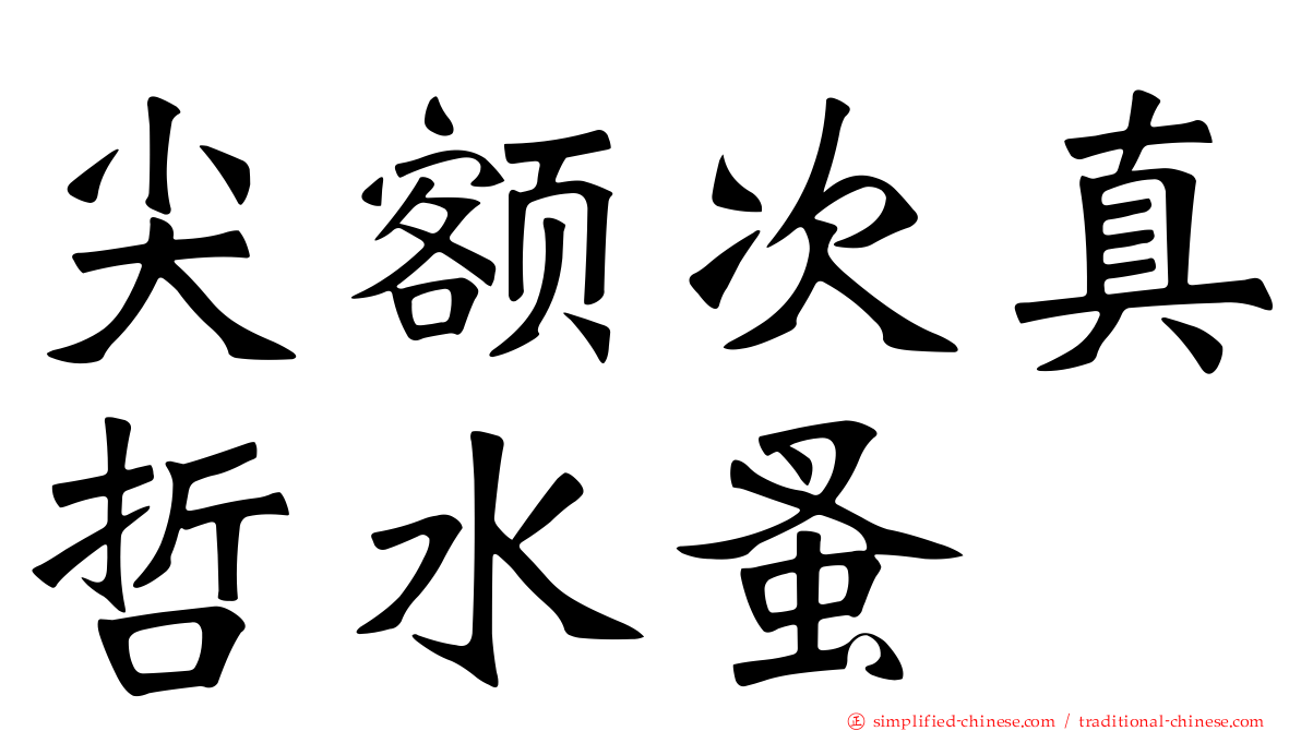 尖额次真哲水蚤