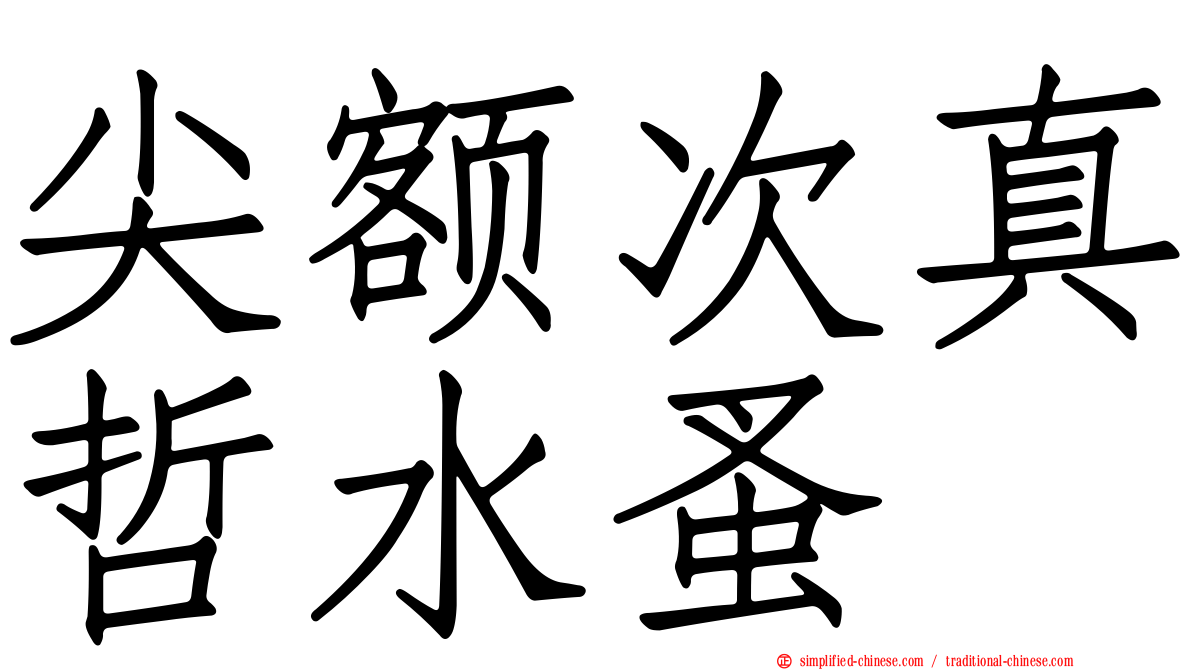 尖额次真哲水蚤